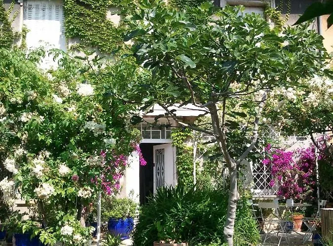 Les Petits Poissons Bed & Breakfast Avignon photo